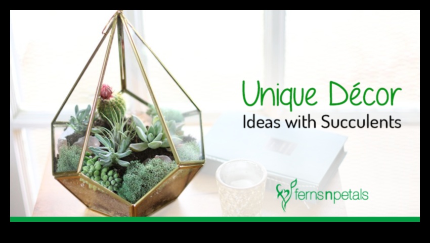 האם אתה יכול להמליץ ​​על דרכים יצירתיות להשתמש בסוקולנטים בעיצוב מודרני?