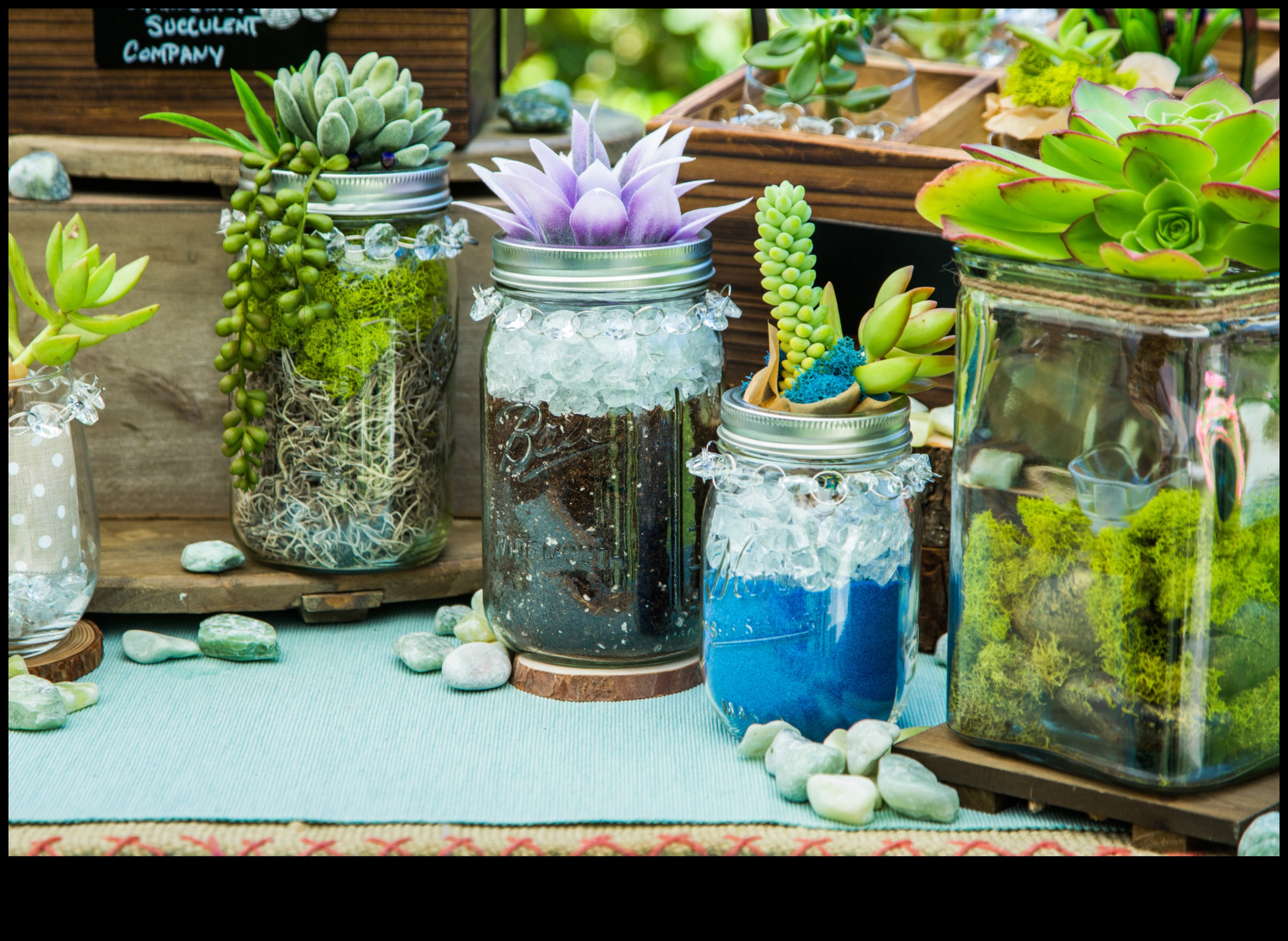 האם אתה יכול להמליץ ​​על דרכים יצירתיות להשתמש בסוקולנטים בעיצוב מודרני?