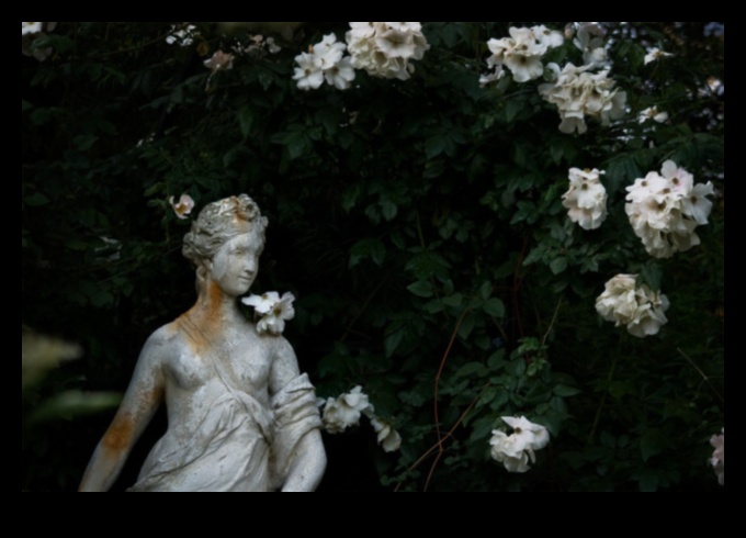 גנים גותיים: תיאורים בוטניים בביטוי אמנותי של ימי הביניים