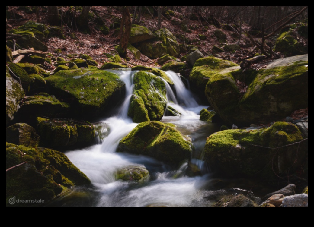 שירה חזותית: נופים אקספרסיביים באוסף שובה לב