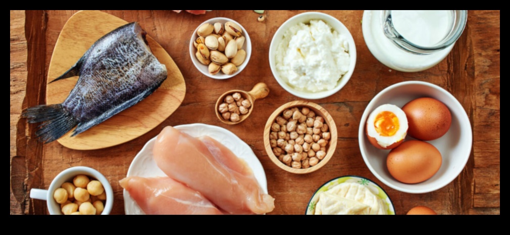 דיאטות עתירות חלבון ופרופילי שומנים בדם: תצוגה מקיפה