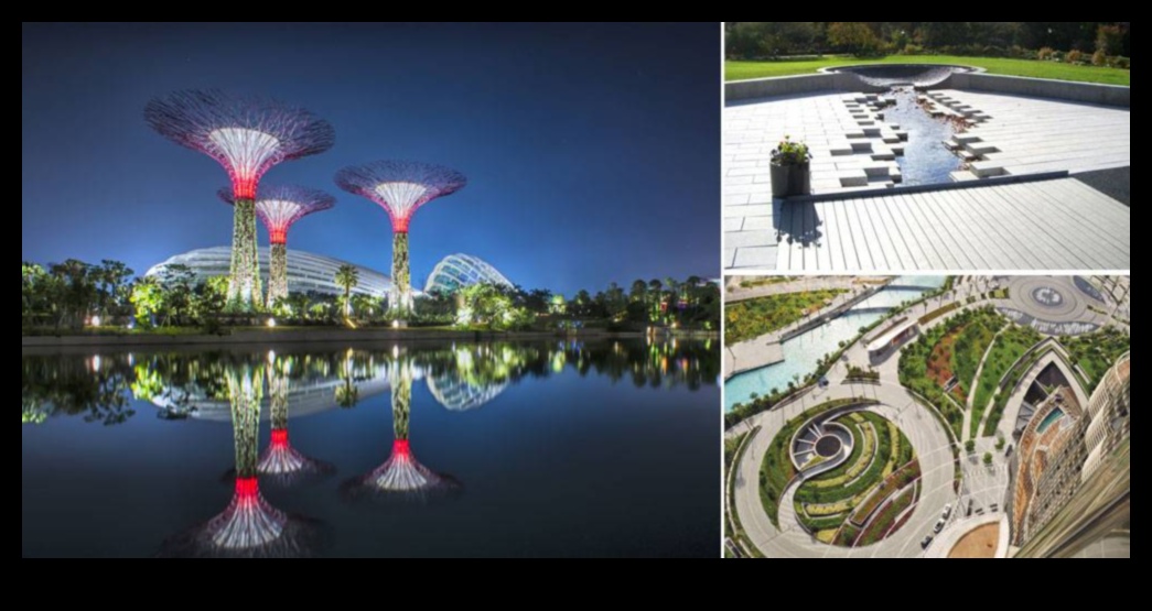 עיצוב נוף בר קיימא: איזון בין יופי וידידותי לסביבה