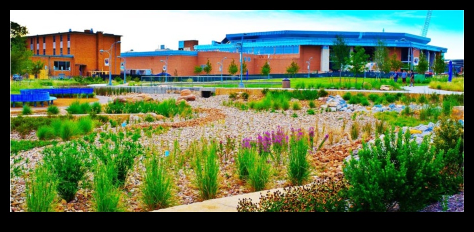 עיצוב נוף בר קיימא: איזון בין יופי וידידותי לסביבה