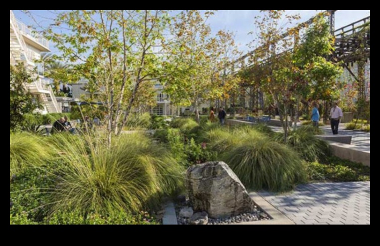 עיצוב נוף בר קיימא: איזון בין יופי וידידותי לסביבה