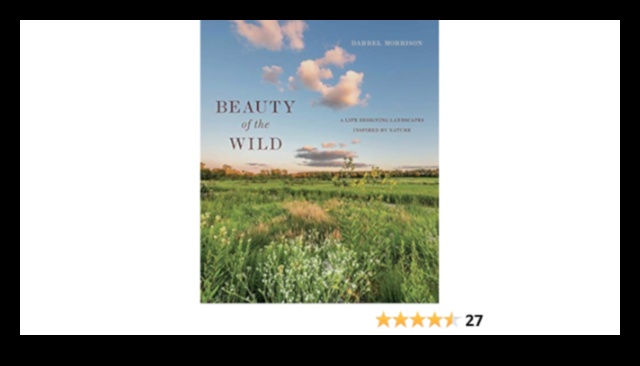 פלאי המדבר: נופים מעבר לדמיון