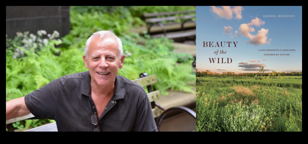 פלאי המדבר: נופים מעבר לדמיון