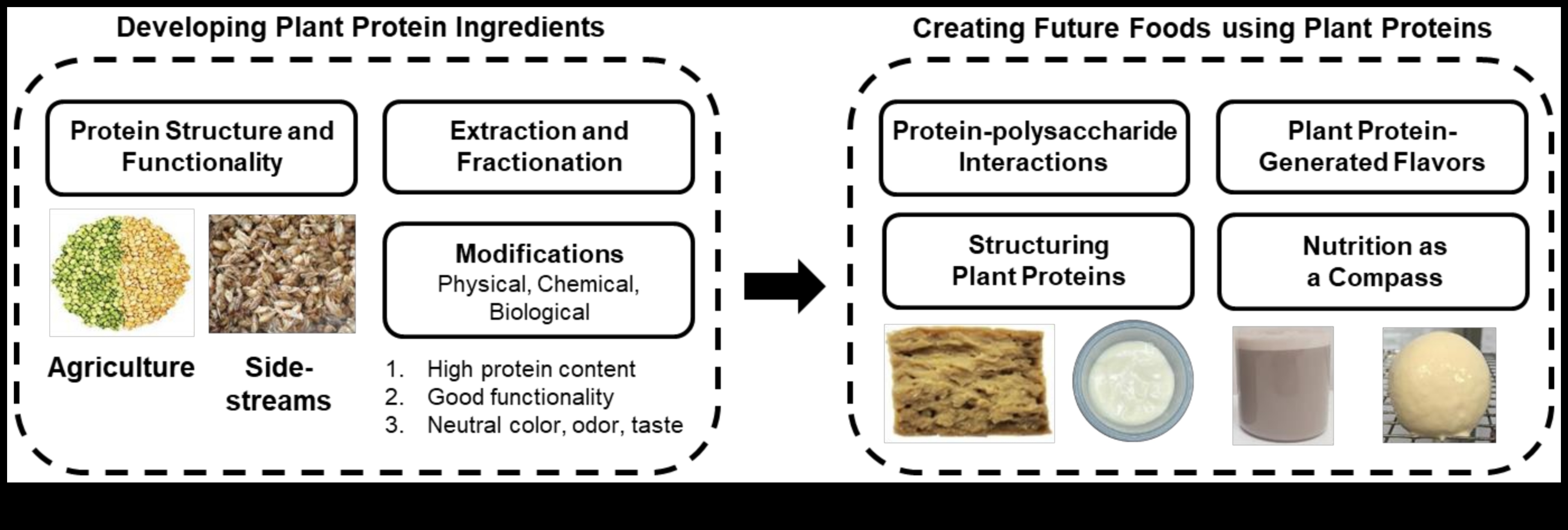 דיאטות עתירות חלבון וחקלאות בת קיימא: גישה ירוקה