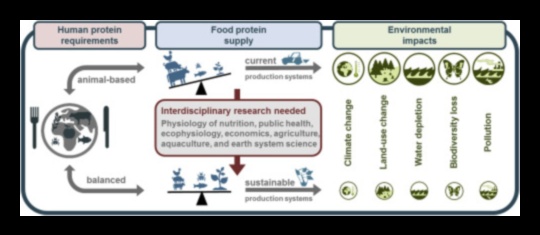 דיאטות עתירות חלבון וחקלאות בת קיימא: גישה ירוקה