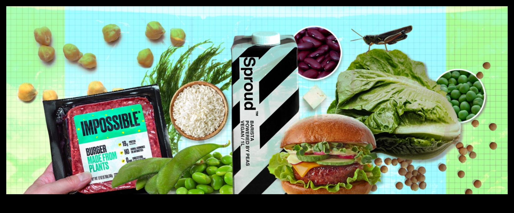 דיאטות עתירות חלבון וחקלאות בת קיימא: גישה ירוקה