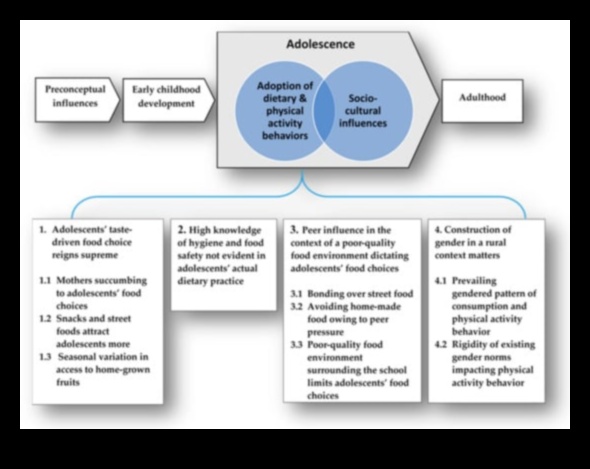 נקודות מבט תרבותיות על דיאטות לטווח קצר 2 דיאטות לטווח קצר והשפעת נקודות מבט תרבותיות