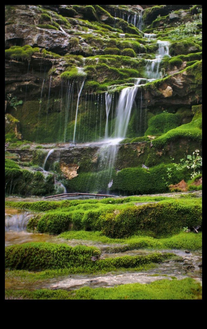 אודיסאה ספרותית: השפעת הטבע על יצירות כתובות מגוונות