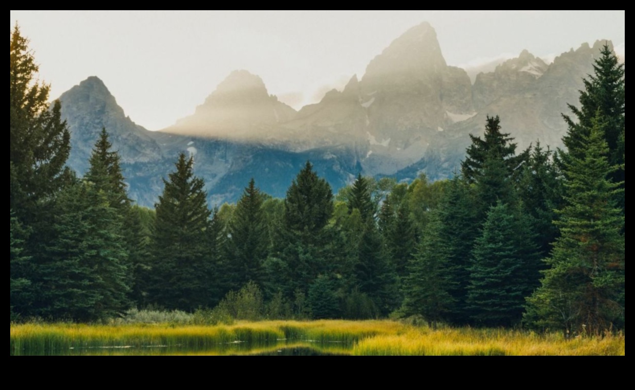 אודיסאה ספרותית: השפעת הטבע על יצירות כתובות מגוונות