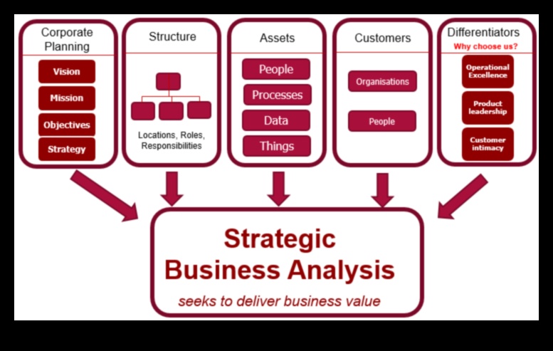 יצירת ההצלחה של מחר: אסטרטגיות דוגמנות עסקיות שוחררו