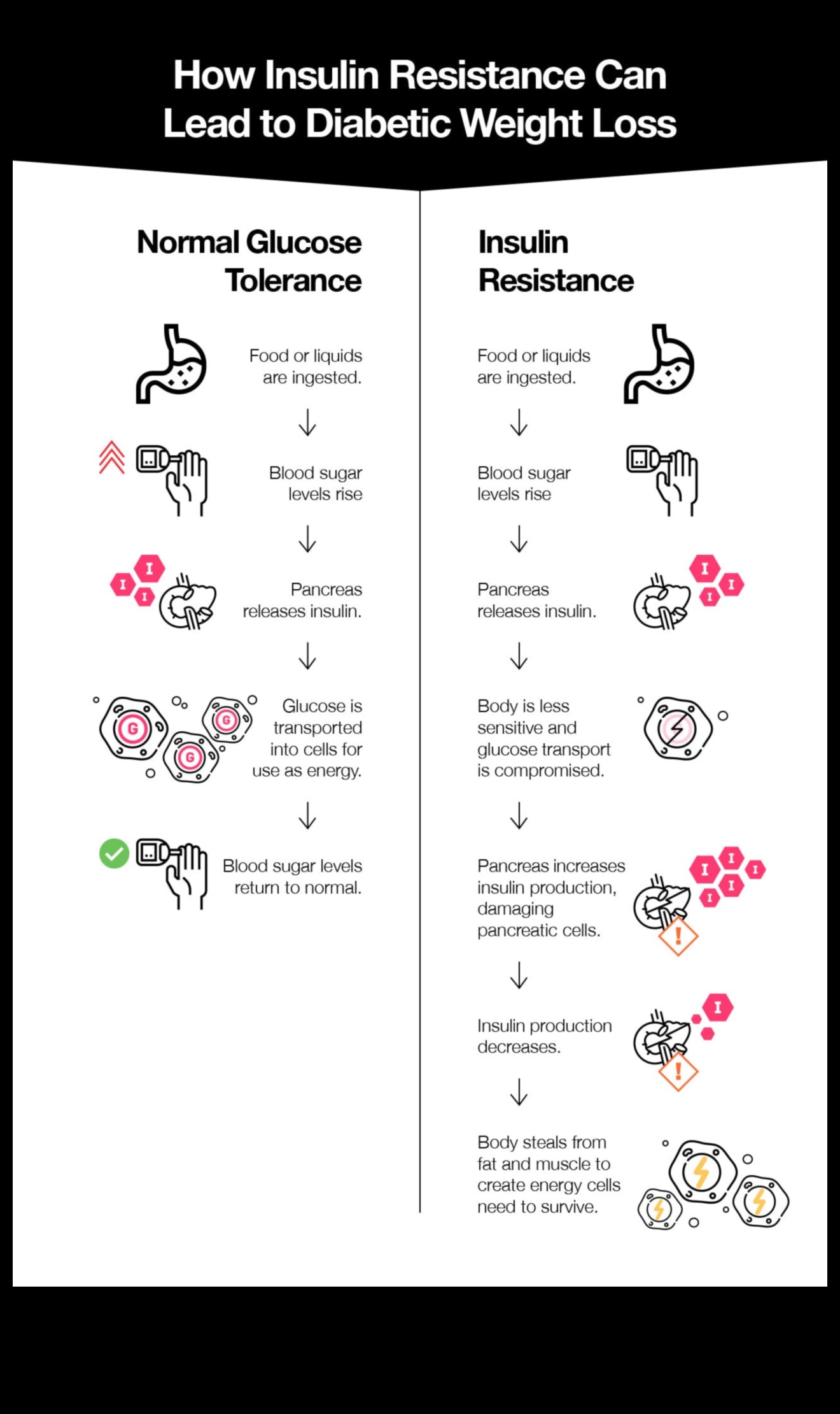 דיאטות לעלייה במשקל ושליטה בסוכר בדם: גישה הוליסטית