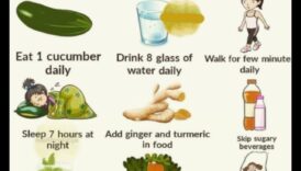 מדריך מקיף לדיאטה לטווח קצר: ניווט בתיקונים מהירים