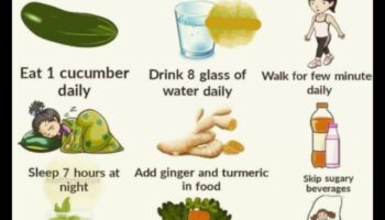 מדריך מקיף לדיאטה לטווח קצר: ניווט בתיקונים מהירים