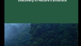 אל תוך השממה: חקר נופים לא נגועים וגולמיים בכל פריים