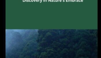 אל תוך השממה: חקר נופים לא נגועים וגולמיים בכל פריים