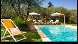 מראות כפריים: סצנות שלווה מנופים כפריים