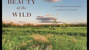 פלאי המדבר: נופים מעבר לדמיון