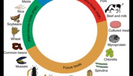 דיאטות עתירות חלבון וחקלאות בת קיימא: גישה ירוקה