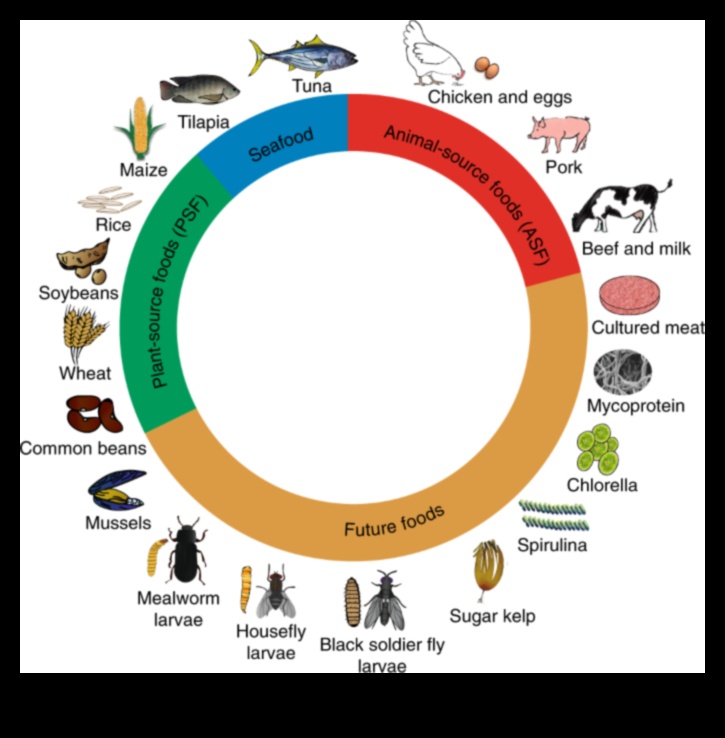 דיאטות עתירות חלבון וחקלאות בת קיימא: גישה ירוקה