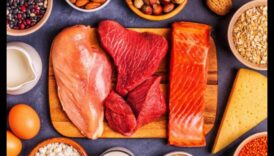 דיאטות עתירות חלבון ופרופילי שומנים בדם: תצוגה מקיפה