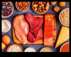 דיאטות עתירות חלבון ופרופילי שומנים בדם: תצוגה מקיפה