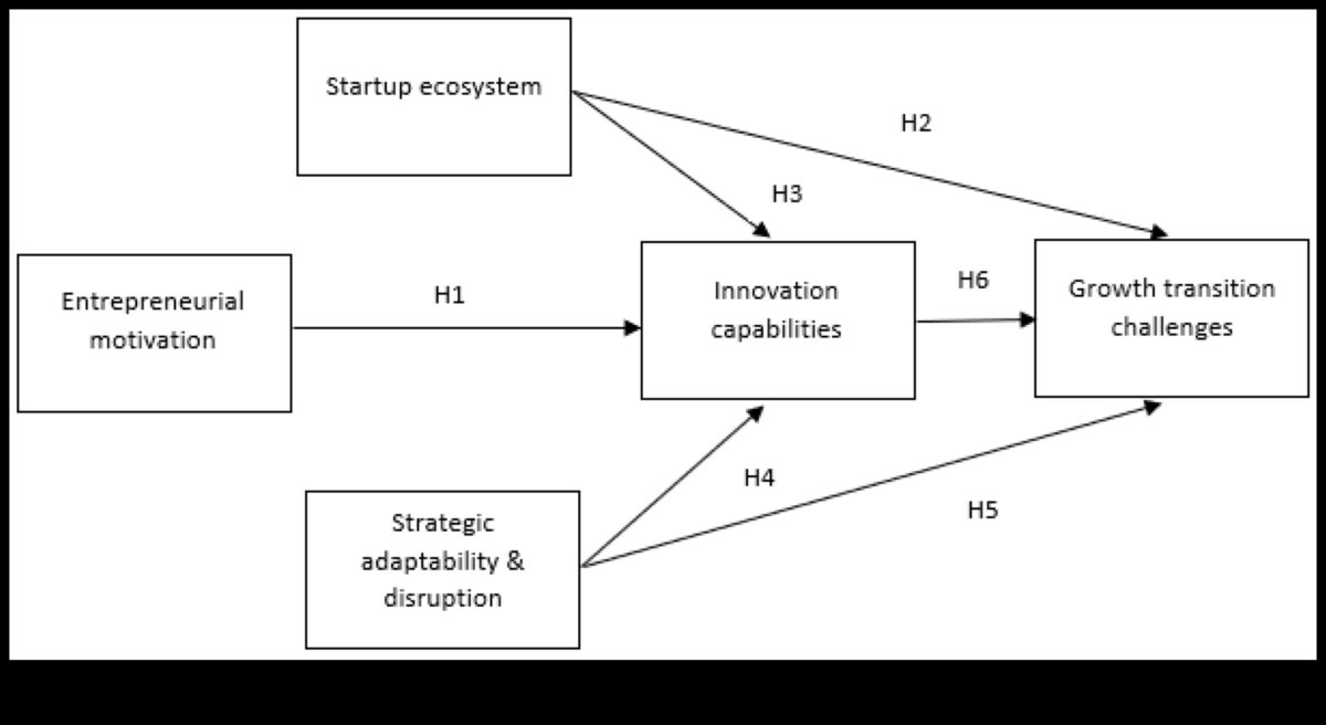 חדשנות אסטרטגית: הנעת צמיחה ואבולוציה יזמית
