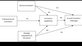 חדשנות אסטרטגית: הנעת צמיחה ואבולוציה יזמית