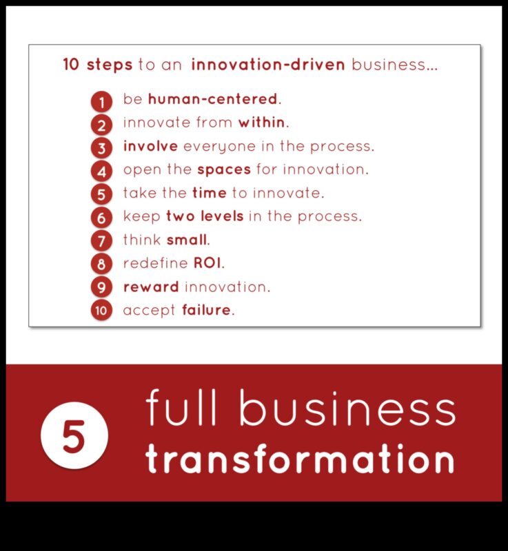 כרוניקות של חדשנות עסקית: סיפורי הצלחה בצמיחה