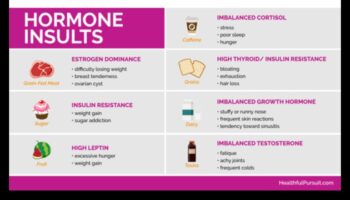 תזונה קטוגנית ואיזון הורמונלי: מבט מקיף