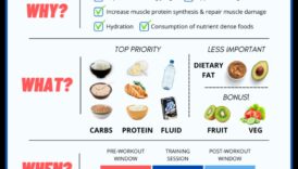 דיאטות דלות שומן ותזונה לאחר אימון: מה כדאי לדעת