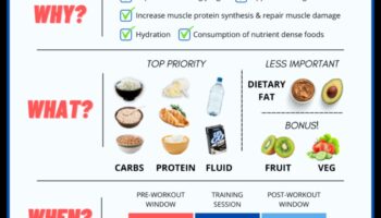 דיאטות דלות שומן ותזונה לאחר אימון: מה כדאי לדעת