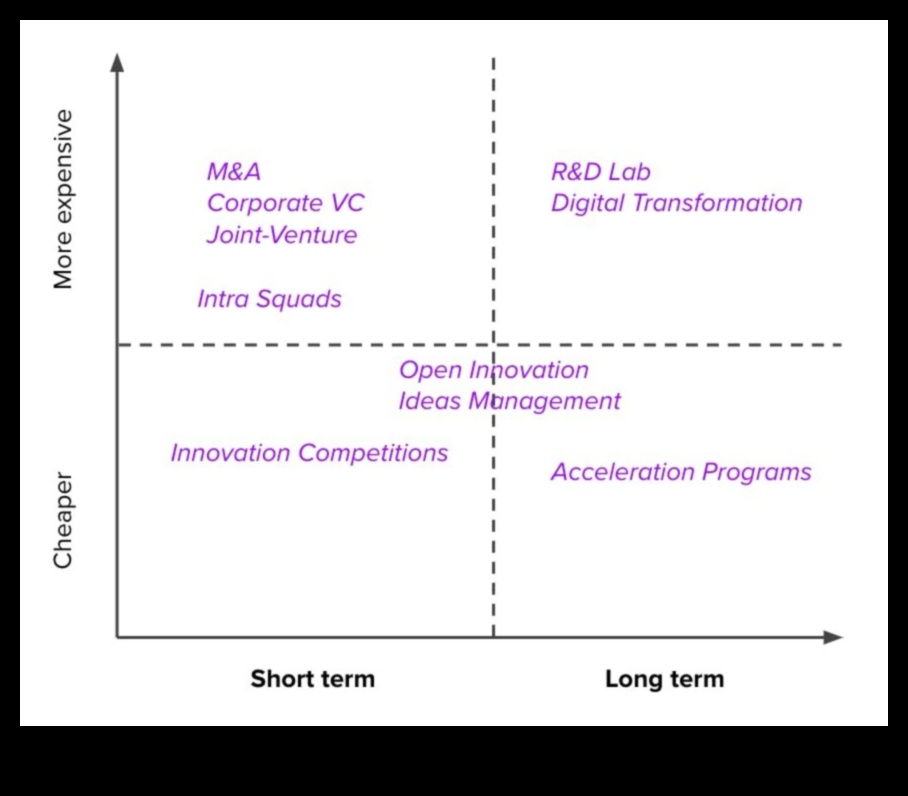 מעבר לגבולות המסורתיים: חידושים בפעילות העסקית
