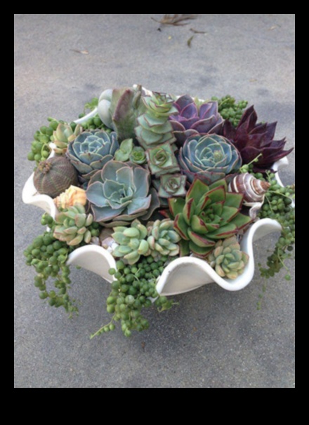 האם אתה יכול להמליץ ​​על דרכים יצירתיות להשתמש בסוקולנטים בעיצוב מודרני?