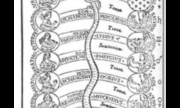 הרמוניה שמימית: נופים שמימיים בתצוגה חזותית מדהימה