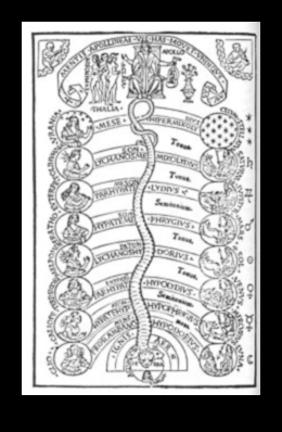 הרמוניה שמימית: נופים שמימיים בתצוגה חזותית מדהימה