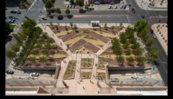 עיצוב נוף בר קיימא: איזון בין יופי וידידותי לסביבה