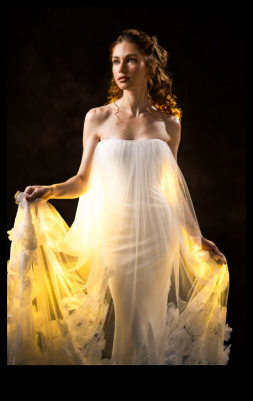 רנסנס עיצובי: גילוי מחדש של אמנות החללים האופנתיים